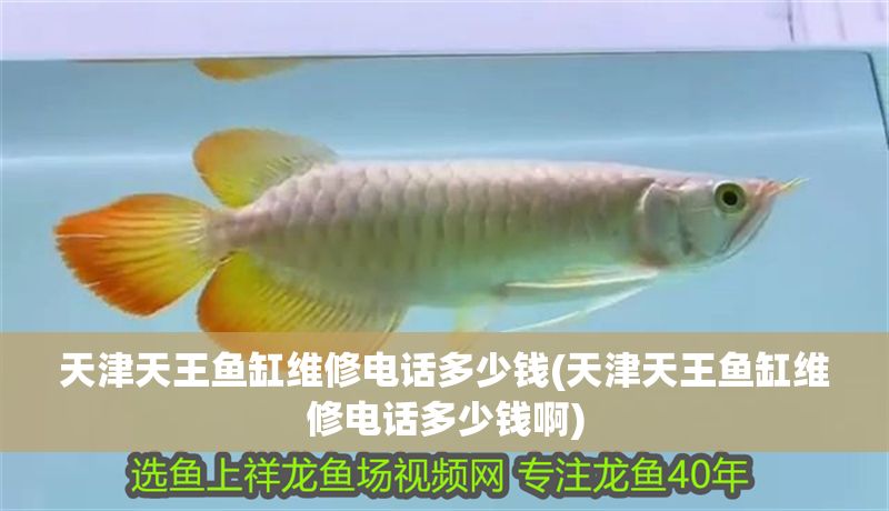 <strong><mark>天津</mark></strong>天王魚缸維修電話多少錢(<strong><mark>天津</mark></strong>天王魚缸維修電話多少錢啊)