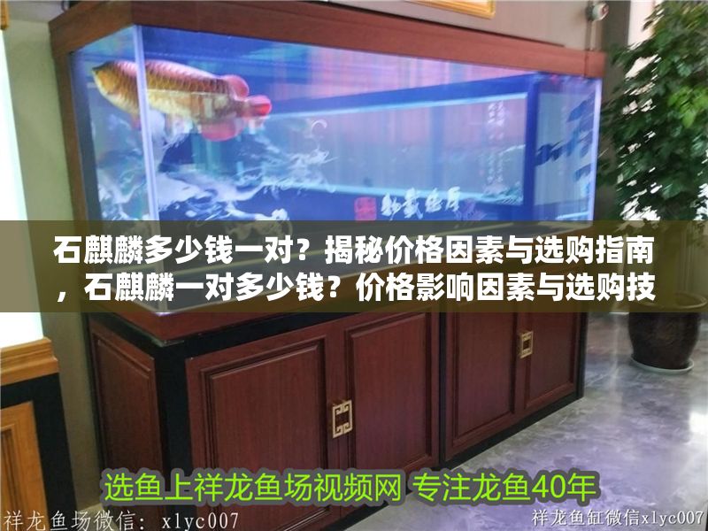 石麒麟多少錢一對？揭秘價格因素與選購指南，石麒麟一對多少錢？價格影響因素與選購技巧全解析