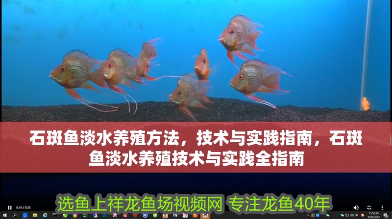 石斑魚淡水養殖方法，技術與實踐指南，石斑魚淡水養殖技術與實踐全指南