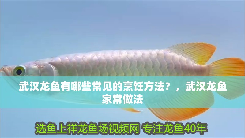 武漢龍魚有哪些常見的烹飪方法？，武漢龍魚家常做法
