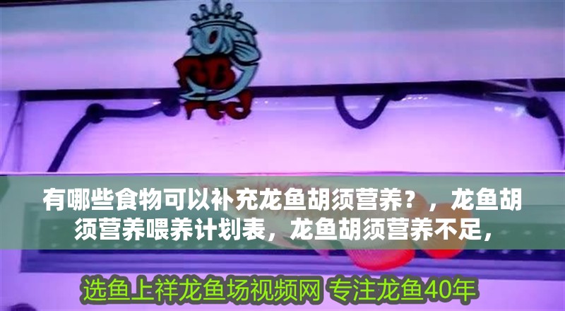 有哪些食物可以補(bǔ)充龍魚(yú)胡須營(yíng)養(yǎng)？，龍魚(yú)胡須營(yíng)養(yǎng)喂養(yǎng)計(jì)劃表，龍魚(yú)胡須營(yíng)養(yǎng)不足，
