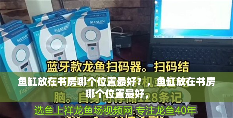 魚缸放在書房哪個位置最好？，魚缸放在書房哪個位置最好，