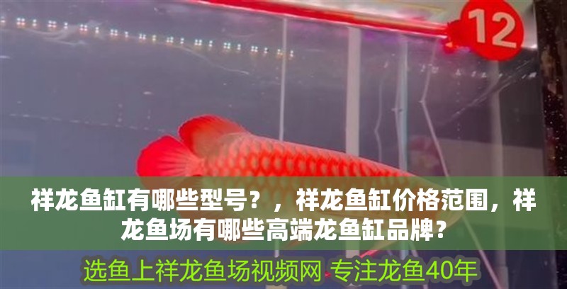 祥龍魚缸有哪些型號？，祥龍魚缸價格范圍，祥龍魚場有哪些高端龍魚缸品牌？