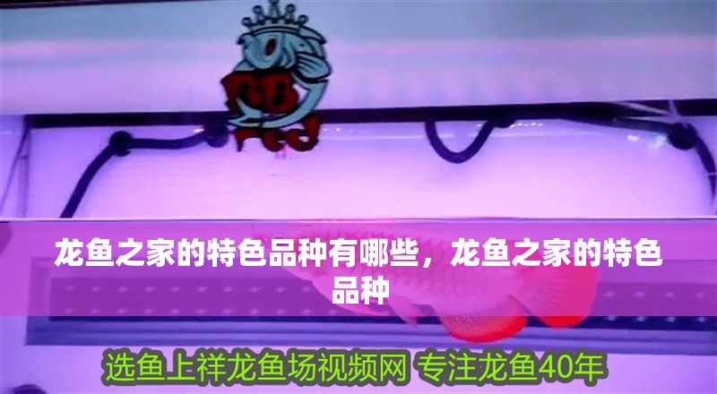 印尼虎魚多少溫度飼養最好:印尼虎魚多少溫度飼養最好印尼虎魚多少溫度飼養最好 龍魚之家的特色品種有哪些,龍魚之家的特色品種 龍魚百科 龍魚之家的特色品種有哪些,龍魚之家的特色品種 龍魚之家的特色品種有哪些,龍魚之家的特色品種 龍魚百科