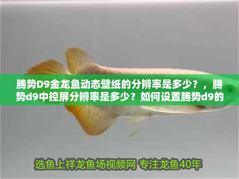 騰勢D9金龍魚動態壁紙的分辨率是多少？，騰勢d9中控屏分辨率是多少？如何設置騰勢d9的金龍魚動態壁紙？