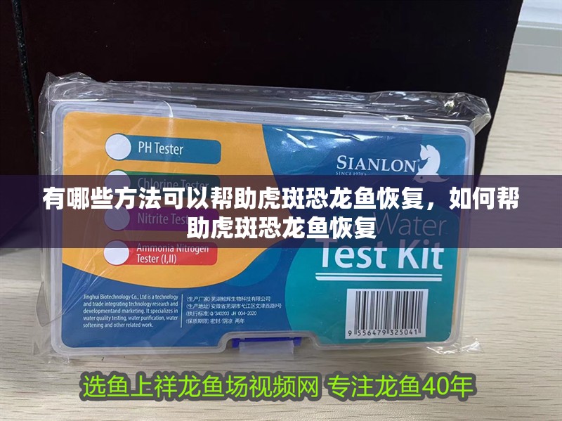 有哪些方法可以幫助虎斑恐龍魚恢復，如何幫助虎斑恐龍魚恢復 有哪些方法可以幫助虎斑恐龍魚恢復，如何幫助虎斑恐龍魚恢復 龍魚百科
