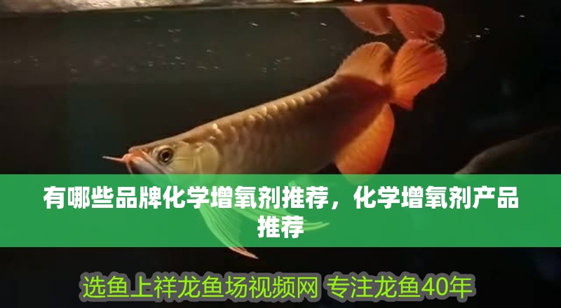 有哪些品牌化學(xué)增氧劑推薦，化學(xué)增氧劑產(chǎn)品推薦