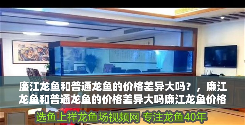 <strong><mark>廉江</mark></strong>龍魚和普通龍魚的價格差異大嗎？，<strong><mark>廉江</mark></strong>龍魚和普通龍魚的價格差異大嗎<strong><mark>廉江</mark></strong>龍魚價格差異大嗎
