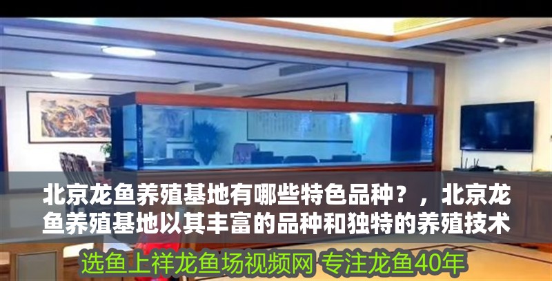 北京龍魚養殖基地有哪些特色品種？，北京龍魚養殖基地以其豐富的品種和獨特的養殖技術而聞名