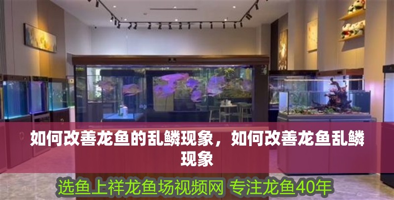 如何改善龍魚的亂鱗現象，如何改善龍魚亂鱗現象