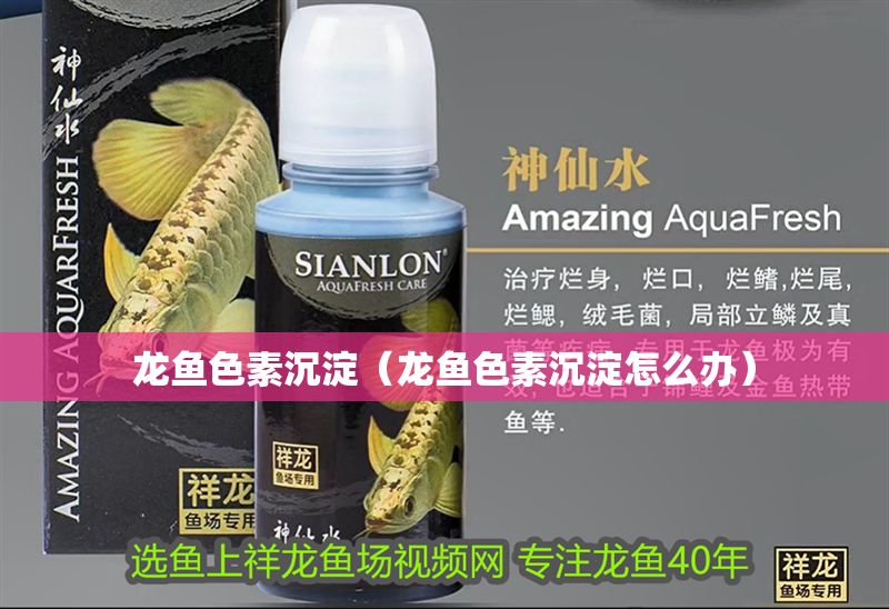 龍魚色素沉淀（龍魚色素沉淀怎么辦）