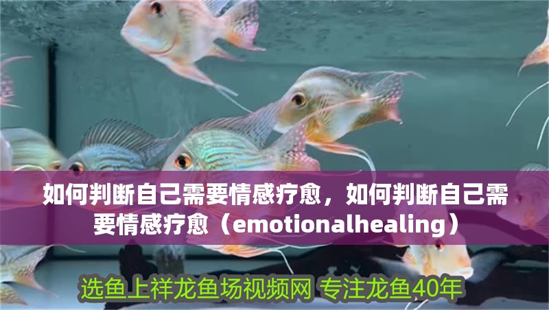 如何判斷自己需要情感療愈，如何判斷自己需要情感療愈（emotionalhealing）