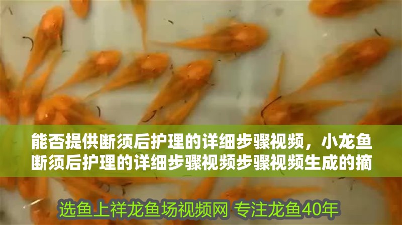 能否提供斷須后護理的詳細步驟視頻，小龍魚斷須后護理的詳細步驟視頻步驟視頻生成的摘要