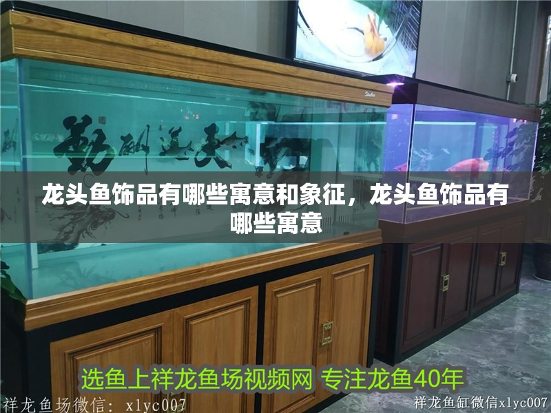 龍頭魚(yú)飾品有哪些寓意和象征，龍頭魚(yú)飾品有哪些寓意