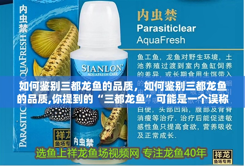 如何鑒別<strong><mark>三都</mark></strong>龍魚的品質，如何鑒別<strong><mark>三都</mark></strong>龍魚的品質,你提到的“<strong><mark>三都</mark></strong>龍魚”可能是一個誤稱或地域性說法