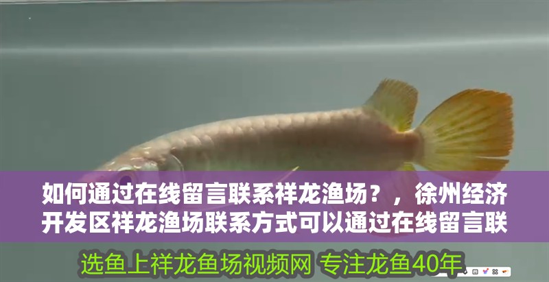 如何通過在線留言聯系祥龍漁場？，<strong><mark>徐州</mark></strong>經濟開發區祥龍漁場聯系方式可以通過在線留言聯系