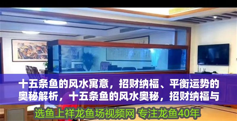 十五條魚的風水寓意，招財納福、平衡運勢的奧秘解析，十五條魚的風水奧秘，招財納福與運勢平衡全解析