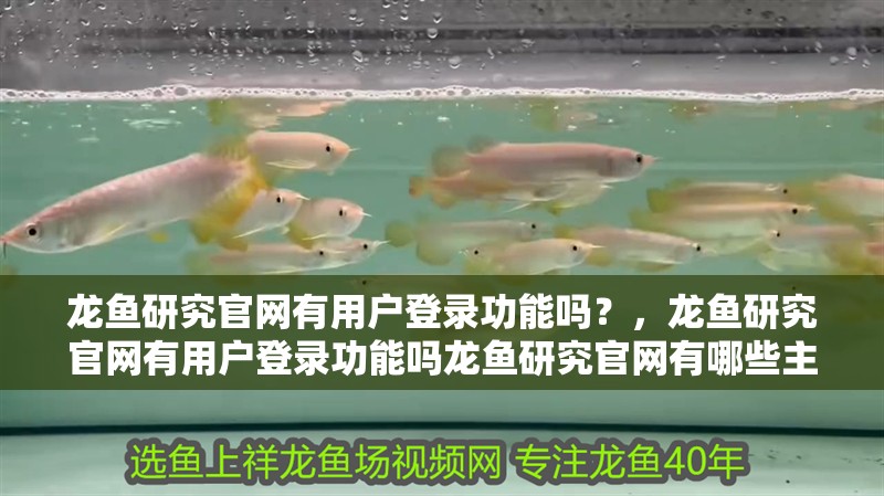 龍魚(yú)研究官網(wǎng)有用戶登錄功能嗎？，龍魚(yú)研究官網(wǎng)有用戶登錄功能嗎龍魚(yú)研究官網(wǎng)有哪些主要功能