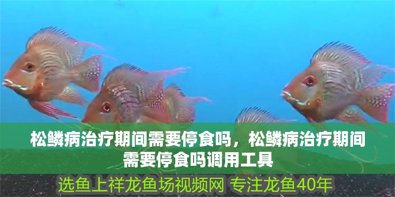 松鱗病治療期間需要停食嗎，松鱗病治療期間需要停食嗎調用工具