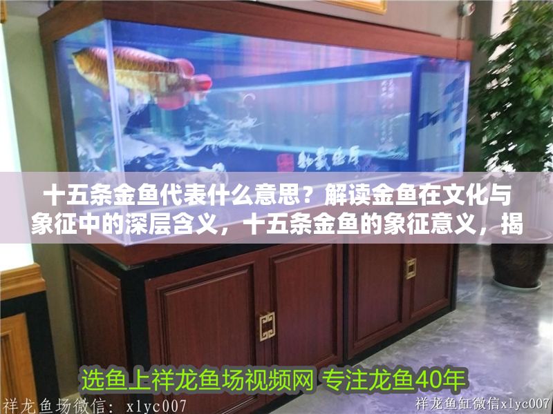 十五條金魚代表什么意思？解讀金魚在文化與象征中的深層含義，十五條金魚的象征意義，揭秘文化與寓意中的深層內涵