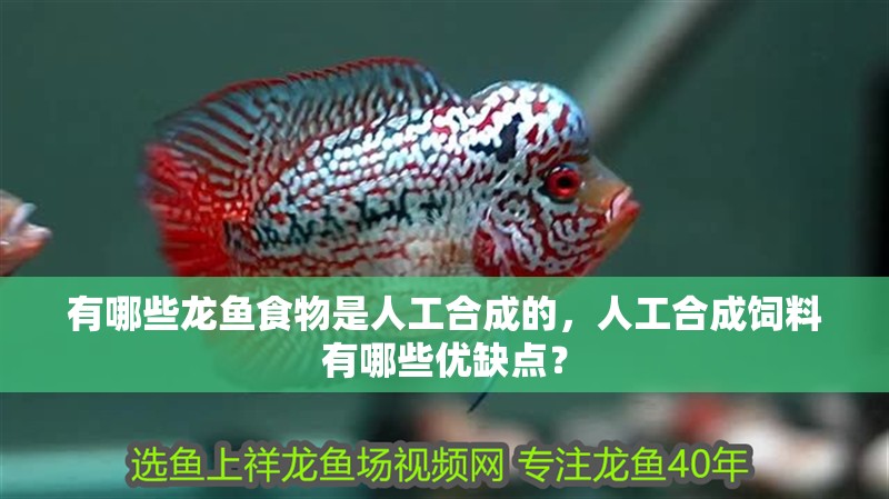 有哪些龍魚食物是人工合成的，人工合成飼料有哪些優(yōu)缺點(diǎn)？