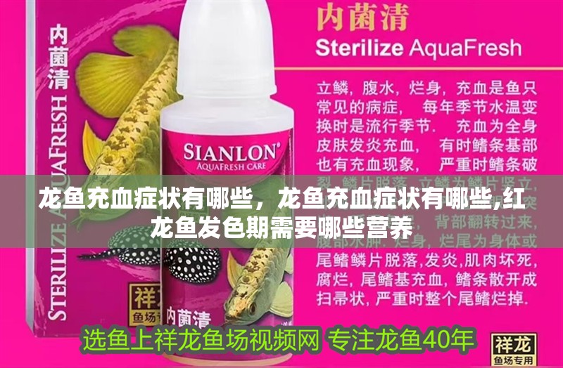 龍魚充血癥狀有哪些，龍魚充血癥狀有哪些,紅龍魚發色期需要哪些營養 龍魚充血癥狀有哪些，龍魚充血癥狀有哪些,紅龍魚發色期需要哪些營養 龍魚百科