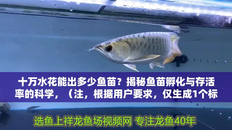 十萬水花能出多少魚苗？揭秘魚苗孵化與存活率的科學，（注，根據用戶要求，僅生成1個標題，無其他內容）