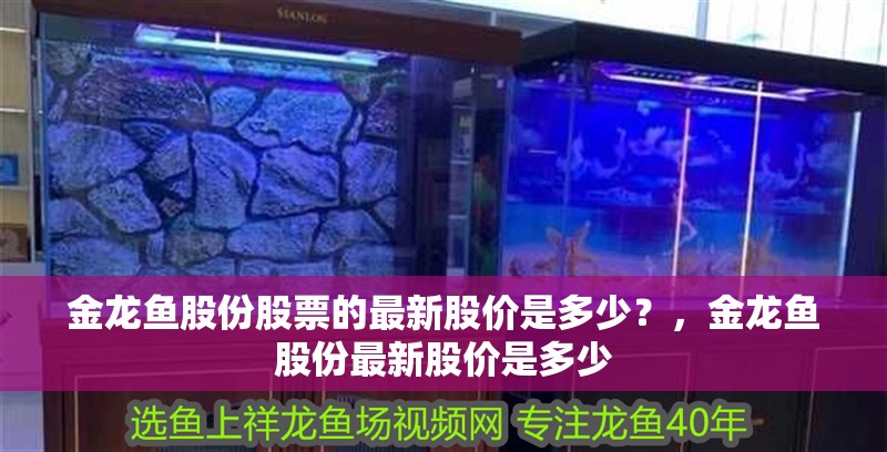金龍魚股份股票的最新股價是多少？，金龍魚股份最新股價是多少 金龍魚股份股票的最新股價是多少？，金龍魚股份最新股價是多少 龍魚百科