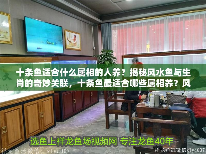 十條魚適合什么屬相的人養？揭秘風水魚與生肖的奇妙關聯，十條魚最適合哪些屬相養？風水魚與生肖的絕妙搭配解析