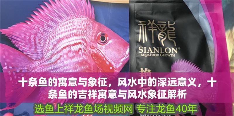十條魚的寓意與象征，風水中的深遠意義，十條魚的吉祥寓意與風水象征解析