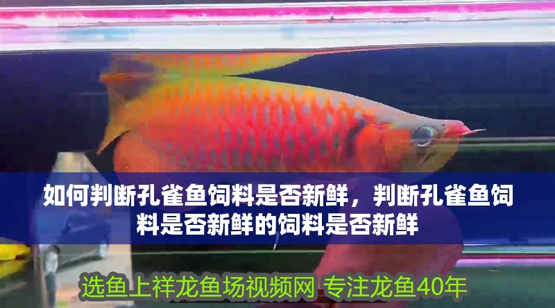 如何判斷孔雀魚飼料是否新鮮，判斷孔雀魚飼料是否新鮮的飼料是否新鮮