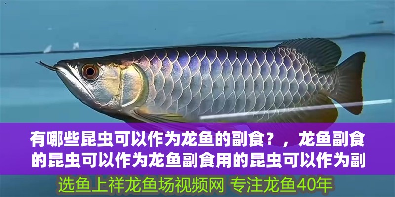 有哪些昆蟲(chóng)可以作為龍魚(yú)的副食？，龍魚(yú)副食的昆蟲(chóng)可以作為龍魚(yú)副食用的昆蟲(chóng)可以作為副食 有哪些昆蟲(chóng)可以作為龍魚(yú)的副食？，龍魚(yú)副食的昆蟲(chóng)可以作為龍魚(yú)副食用的昆蟲(chóng)可以作為副食 龍魚(yú)百科