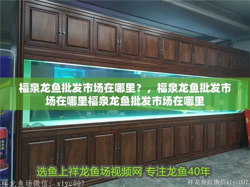 福泉龍魚批發(fā)市場在哪里？，福泉龍魚批發(fā)市場在哪里福泉龍魚批發(fā)市場在哪里