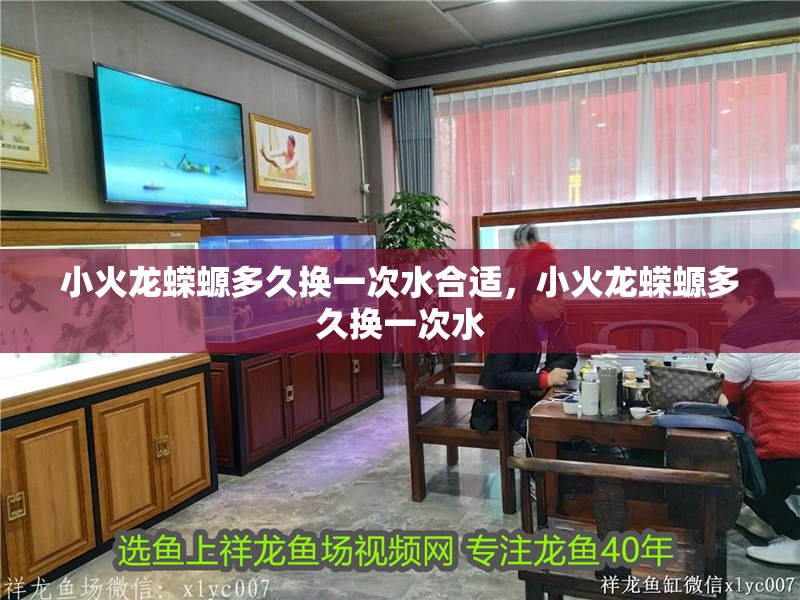 小火龍蠑螈多久換一次水合適，小火龍蠑螈多久換一次水