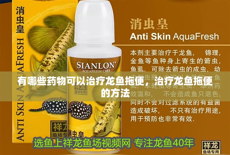 有哪些藥物可以治療龍魚拖便，治療龍魚拖便的方法