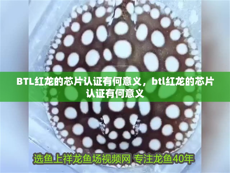 BTL紅龍的芯片認證有何意義，btl紅龍的芯片認證有何意義