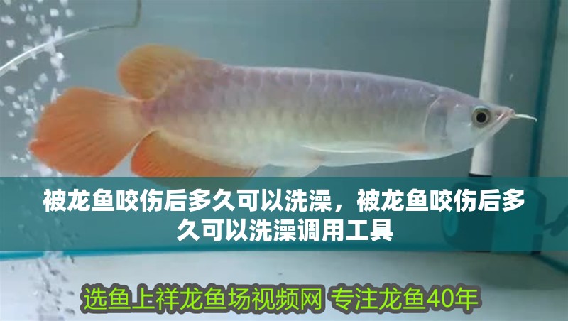 被龍魚咬傷后多久可以洗澡，被龍魚咬傷后多久可以洗澡調(diào)用工具