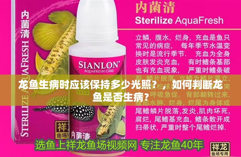 龍魚生病時應(yīng)該保持多少光照？，如何判斷龍魚是否生??？