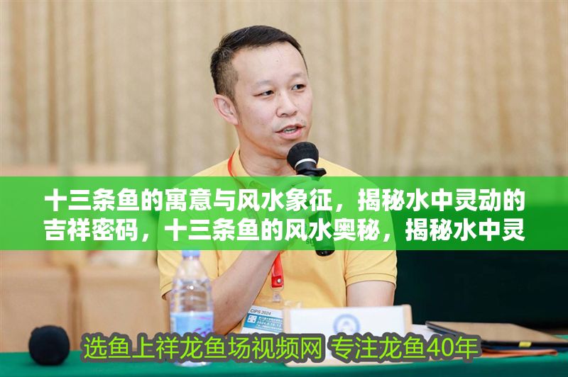 十三條魚的寓意與風水象征，揭秘水中靈動的吉祥密碼，十三條魚的風水奧秘，揭秘水中靈動的吉祥密碼