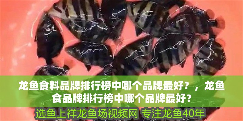 龍魚食料品牌排行榜中哪個(gè)品牌最好？，龍魚食品牌排行榜中哪個(gè)品牌最好？