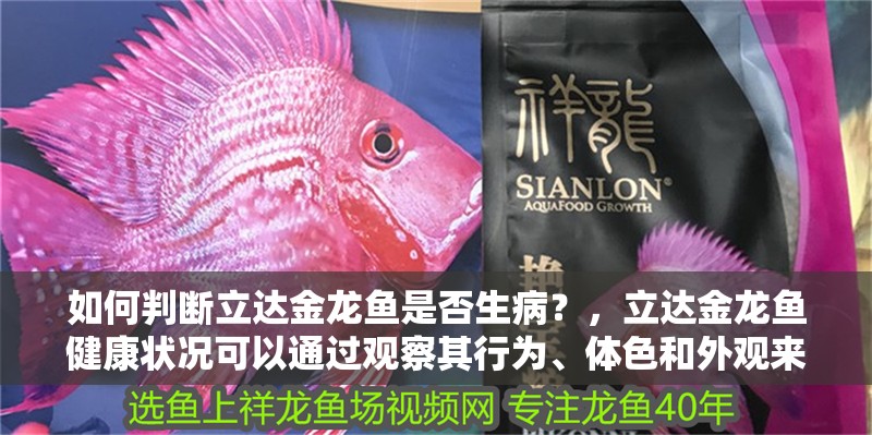 如何判斷立達金龍魚是否生病？，立達金龍魚健康狀況可以通過觀察其行為、體色和外觀來判斷