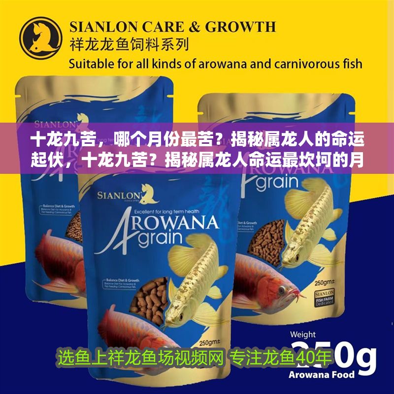 十龍九苦，哪個月份最苦？揭秘屬龍人的命運起伏，十龍九苦？揭秘屬龍人命運最坎坷的月份