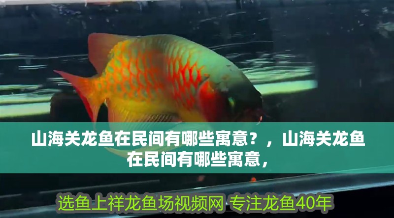 山海關(guān)龍魚在民間有哪些寓意？，山海關(guān)龍魚在民間有哪些寓意，