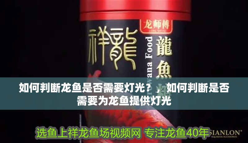 如何判斷龍魚是否需要燈光？，如何判斷是否需要為龍魚提供燈光