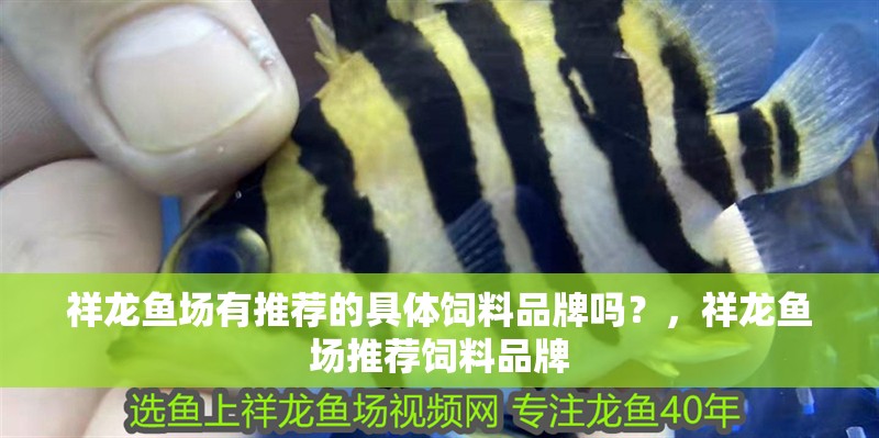 祥龍魚場(chǎng)有推薦的具體飼料品牌嗎？，祥龍魚場(chǎng)推薦飼料品牌