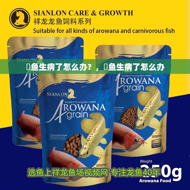 魟魚生病了怎么辦？，魟魚生病了怎么辦