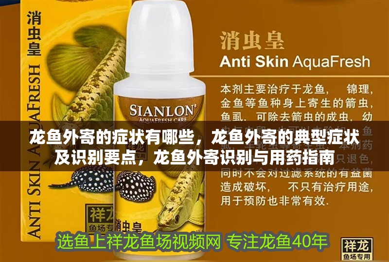 龍魚干蝦有營養嗎 龍魚外寄的癥狀有哪些,龍魚外寄的典型癥狀及識別要點,龍魚外寄識別與用藥指南 龍魚百科 龍魚外寄的癥狀有哪些,龍魚外寄的典型癥狀及識別要點,龍魚外寄識別與用藥指南 龍魚外寄的癥狀有哪些,龍魚外寄的典型癥狀及識別要點,龍魚外寄識別與用藥指南 龍魚百科