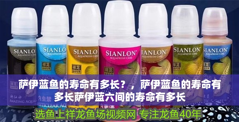 薩伊藍魚的壽命有多長？，薩伊藍魚的壽命有多長薩伊藍六間的壽命有多長