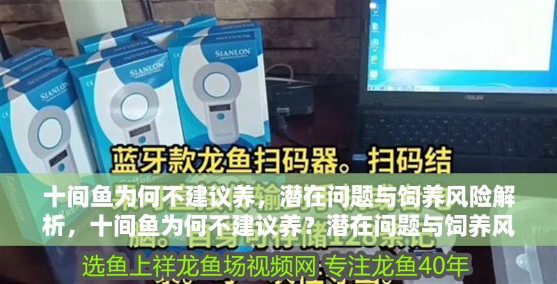 十間魚為何不建議養(yǎng)，潛在問題與飼養(yǎng)風(fēng)險(xiǎn)解析，十間魚為何不建議養(yǎng)？潛在問題與飼養(yǎng)風(fēng)險(xiǎn)全面解析