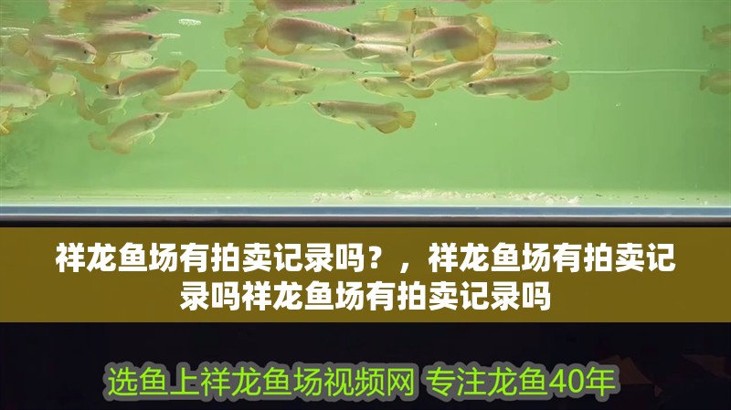 祥龍魚場有拍賣記錄嗎？，祥龍魚場有拍賣記錄嗎祥龍魚場有拍賣記錄嗎